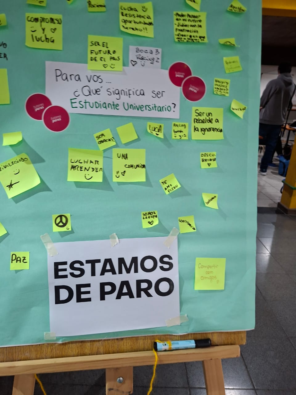 Ciencias de la Educación